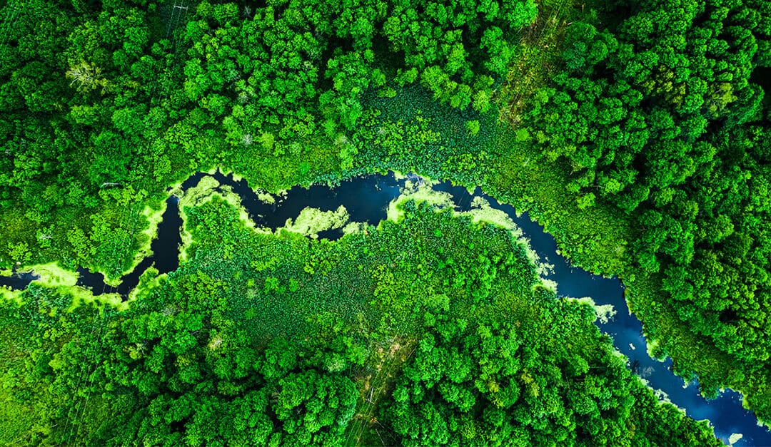 Australian fintech leads the charge in ethical investing and PayID